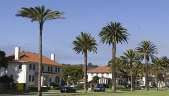 Los Angeles AFB Neighborhood